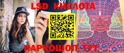 прущие грибы Можга