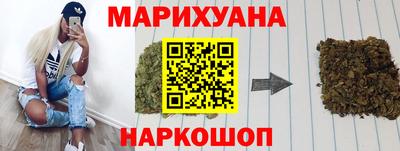прущие грибы Можга