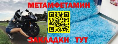 прущие грибы Можга